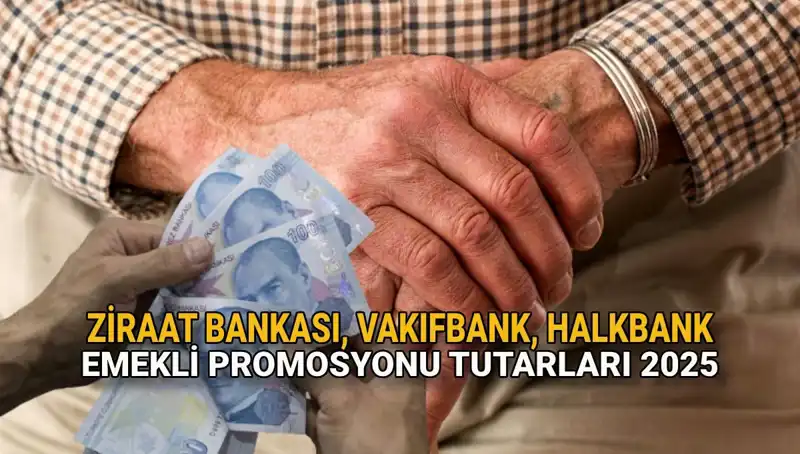 Emekli Promosyonları 2025: Kamu Bankaları Hangi Fırsatları Sunuyor?