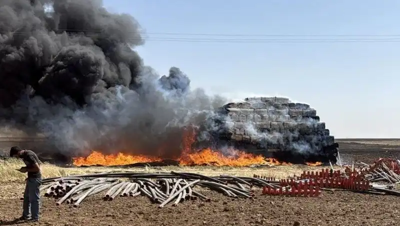 Mardin'de Anız Yangını: Tarım Alanları için Tehlike Mi Oluşturuyor?