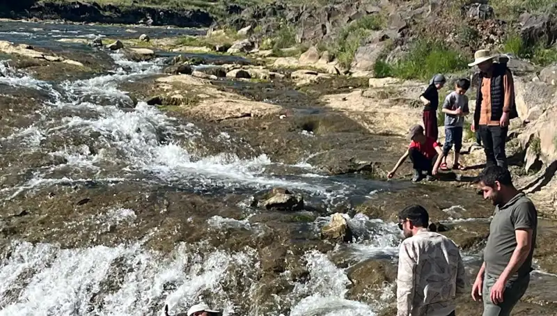 İnci Kefali Göçü: Doğa Harikasına Tanık Olmak İçin Binlerce Kilometre Yol Geldiler