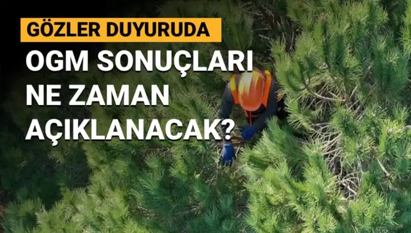 Orman Genel Müdürlüğü Personel Alımı Sonuçları Ne Zaman Açıklanacak?