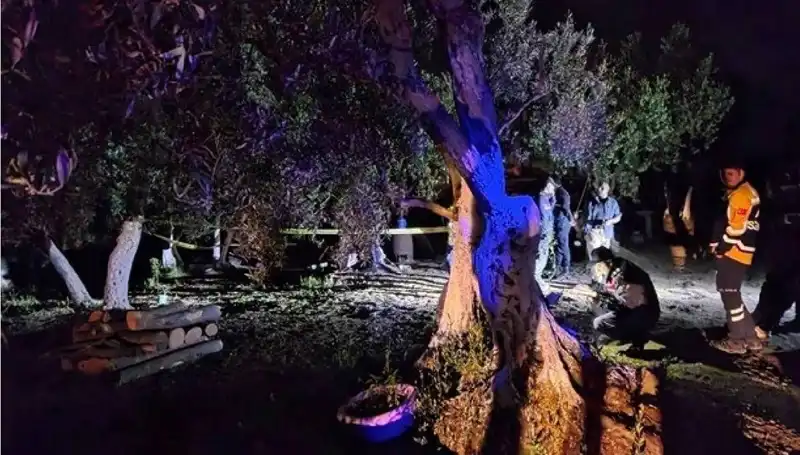 Çiftlikteki Baltalı Vahşet: Şok Edici Gelişme ve Tutuklama