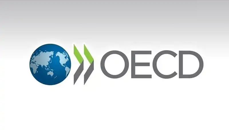 OECD, Türkiye'nin Ekonomik Büyüme Tahminini Yeniden Güncelledi!