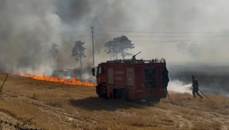 Kırklareli'nde Korkutan Anız Yangını: Hasar ve Tehditler