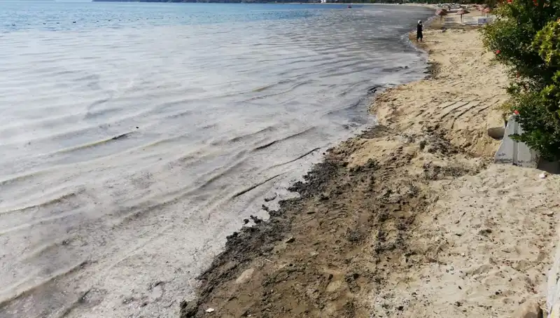 Marmara Denizi'nde Müsilajla Mücadele: 268 İşletme Faaliyet Durdurdu
