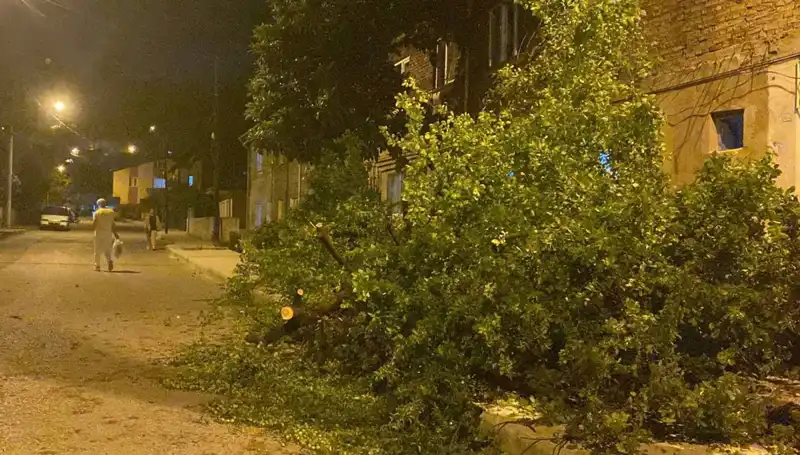 Karabük'te Şiddetli Fırtına Hayatı Olumsuz Etkiledi: Zarar Büyüyor