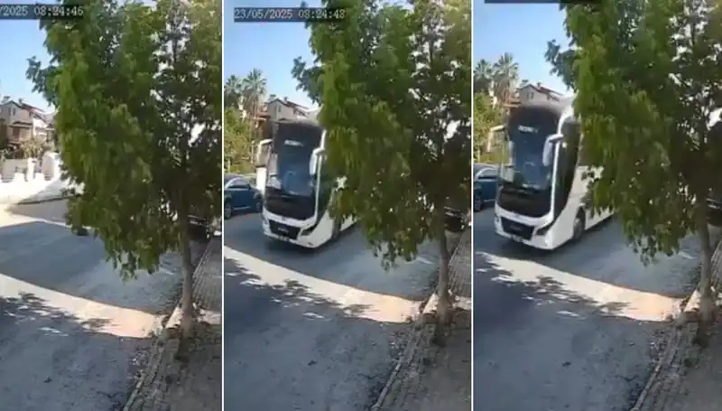 Yolda Yatan Köpeği Ezip Geçen Şoför, Tepkileri Üzerine Çekti