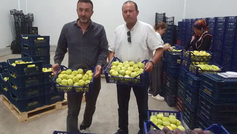 Mersinli Çiftçi, İhracatla Kazancını Katladı: Tanesi 20 TL!