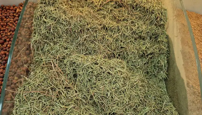 Yaz Aylarında Tehlikeli Ürünlerin İnternette Satışı Artıyor!
