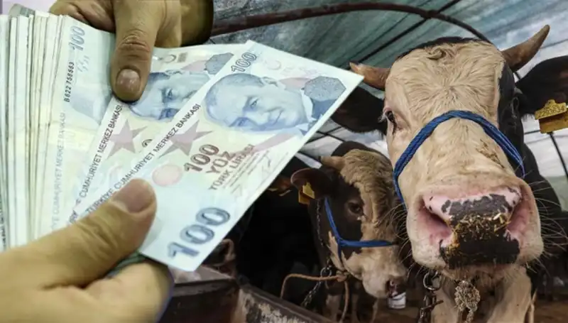 Maaşlar Kurban Bayramı Öncesi Yatıyor mu? Emekliler ve Memurlar Dikkat!