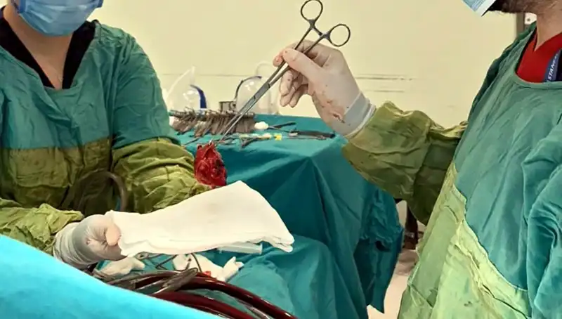 Kalp Kapağı Çürümüş Hastaya 7 Saat Süren Ameliyat: "Mucizevi Bir Olay"