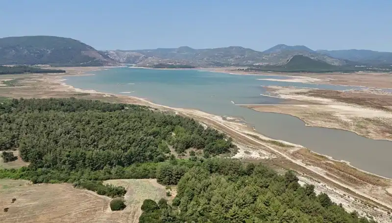 İzmir'de Tehlike Sinyalleri: Bir Yılda Yüzde 50 Düşüş Yaşandı