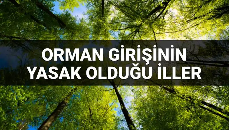 2025'te Ormana Girmesi Yasak Olan İller Hangi İller? İşte Tüm Detaylar!