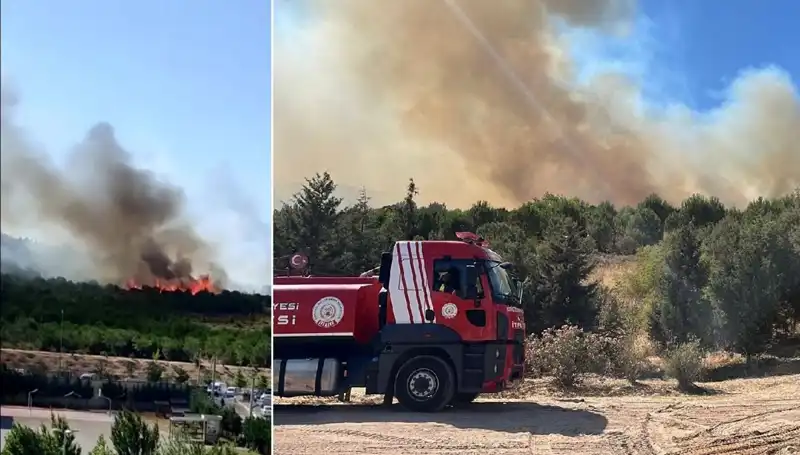 Gebze'de Uçsuz Bucaksız Orman Yangını: Doğa ve Yerleşim Alanları Tehlikede!