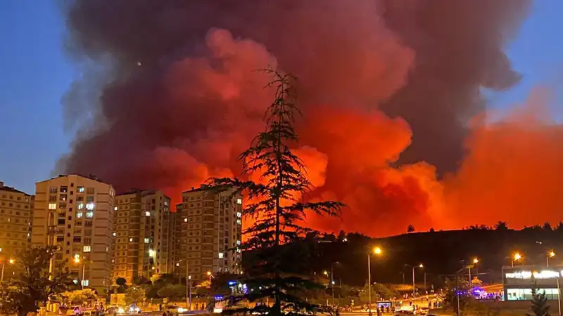 Bursa'da Yangın Felaketi: Şehir Alev Alev, Neler Oluyor?