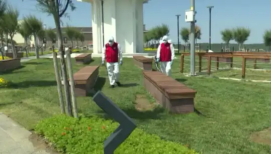Kene Tehditi Artıyor: Halka Açık Alanlarda Acil İlaçlama İhtiyacı