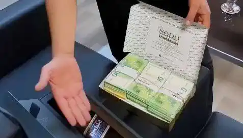 Manavgat Belediyesi'nde Şok Operasyon: Baklava Kutularında Saklı Avrolar Ele Geçirildi